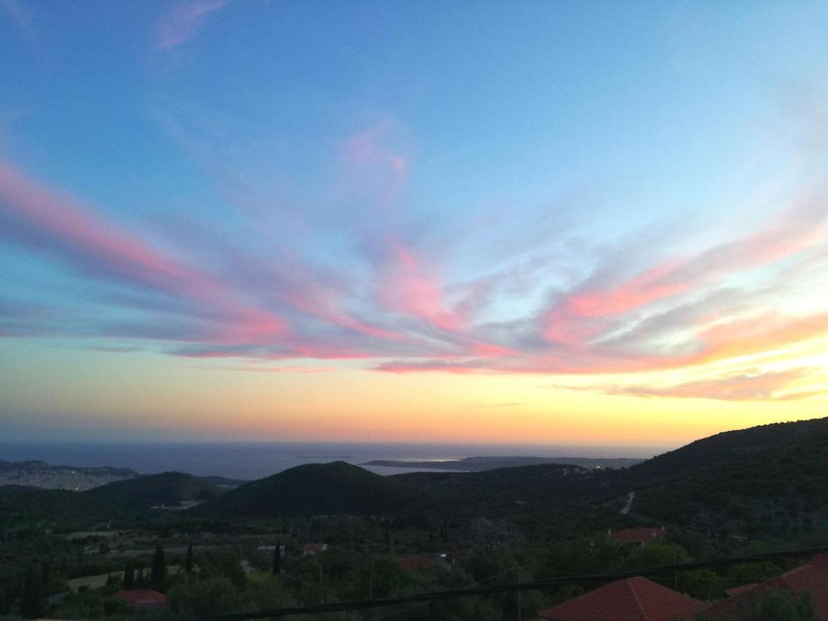 Dimitra'S Great View Apartment Dilinata Bagian luar foto